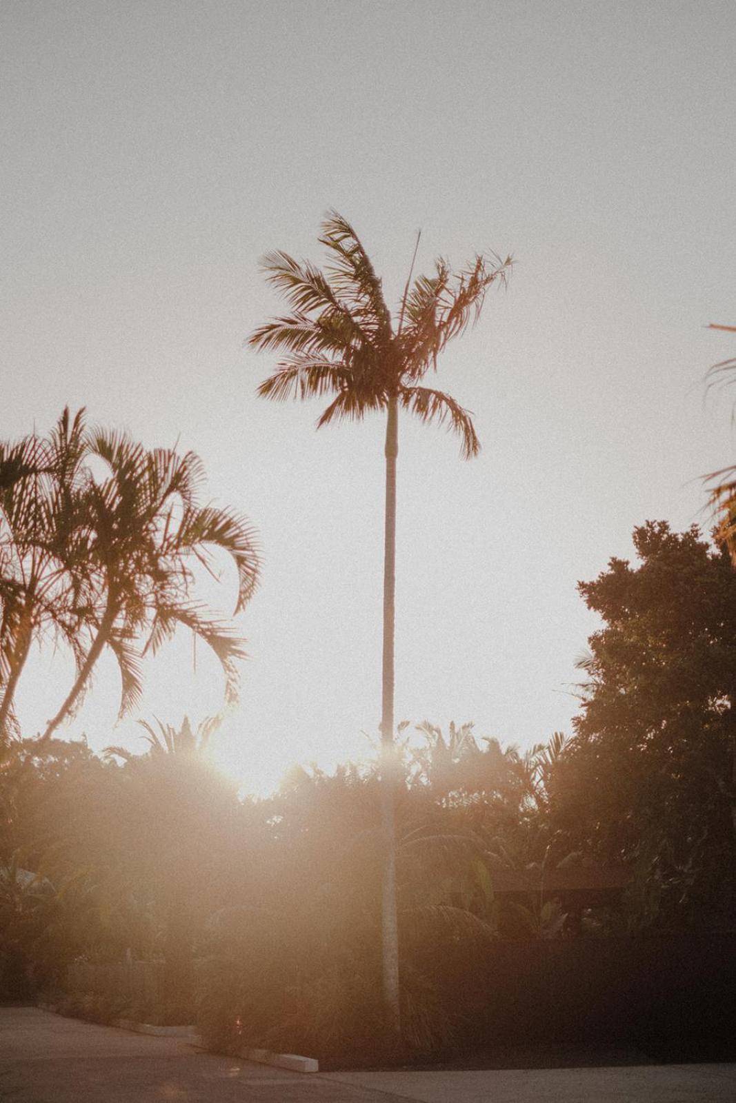 The Bower Byron Bay Hotel Exterior foto